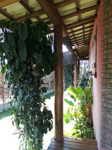 Casas Belas De Taipu