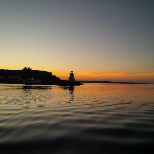Lionheart Guesthouse And B&B