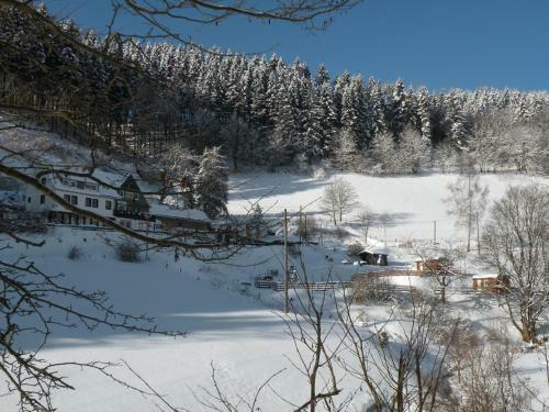 Hostal Landgasthof Nesselbach