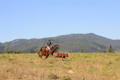 Agroturismo Equilibre Maule