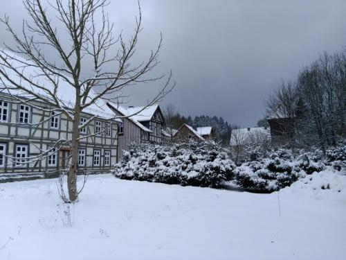 Apartamento Harzhaus Schneewittchen