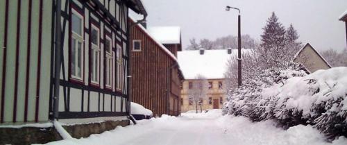 Apartamento Harzhaus Schneewittchen