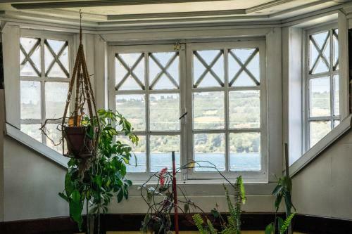 Bed & Breakfast Costanera Hostel