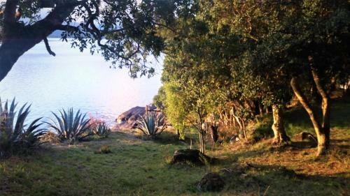 Lodge Caba�as Llifenativo