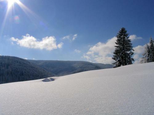 Apartamento Ferienwohnung Am Eisweiher