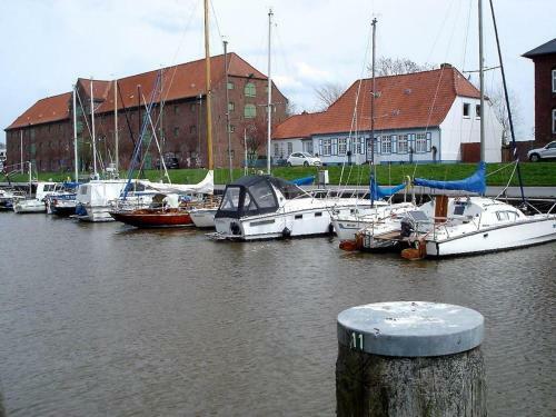 Apartamento Landhaus-am-deich-wohnung-moewe