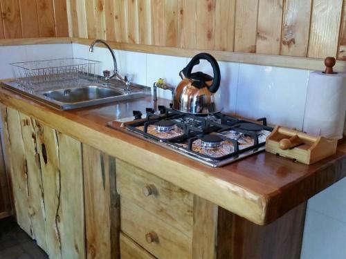 Lodge Caba�as Ra�ces De Puc�n