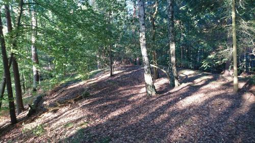Apartamento Ferienwohnung Hellwig
