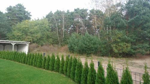 Apartamento Ferienwohnung Hellwig