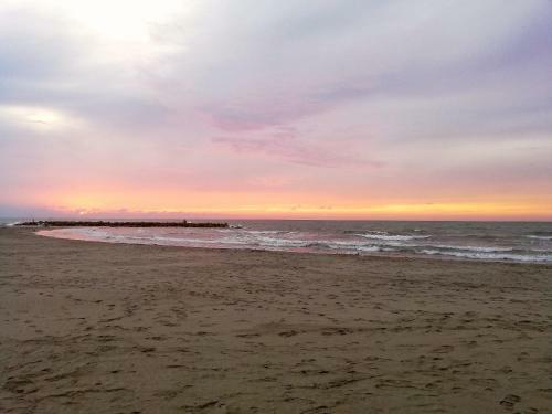 Apartamento Marbella #2-14