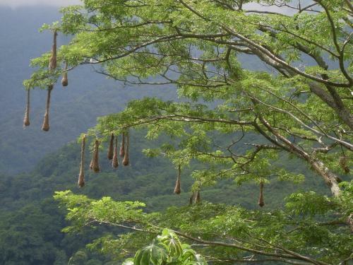 Lodge Finca Carpe Diem