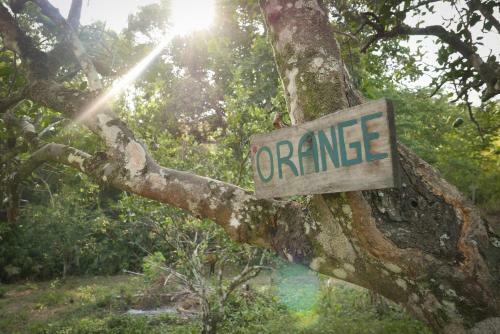 Lodge Finca Carpe Diem