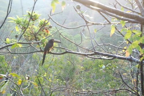 Lodge Finca Carpe Diem