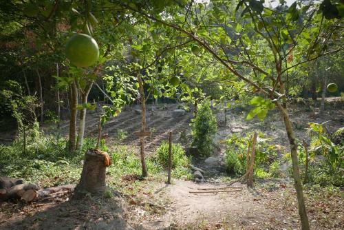 Lodge Finca Carpe Diem