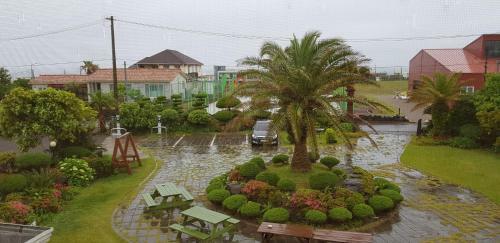 Jeju Again Olle Pension
