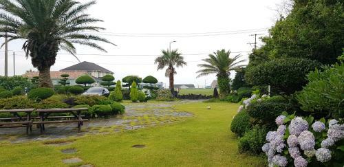 Jeju Again Olle Pension