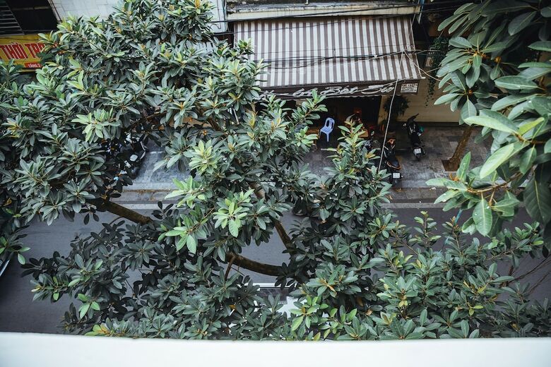 Hotel Hanoi City Backpackers Hostel