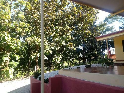 Bed & Breakfast La Jungla