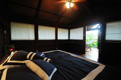 Hotel La Anita Rain Forest