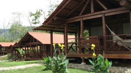 Hotel La Anita Rain Forest