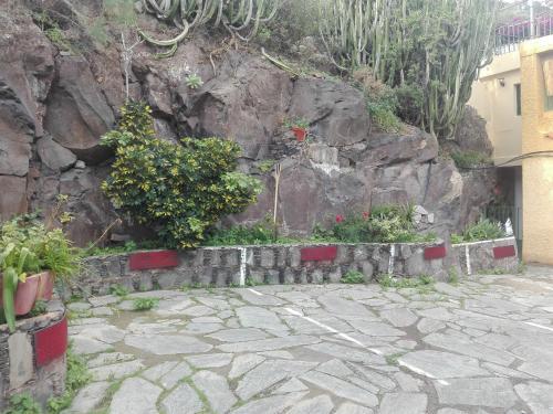 Bed & Breakfast Finca Bella Vista