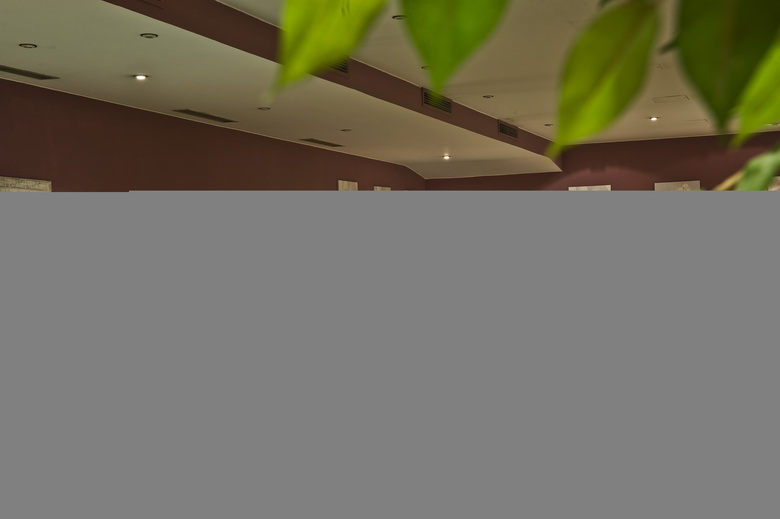 Hotel Wyndham Hannover Atrium