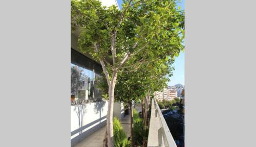 Apartamento Likourgou Penthouse
