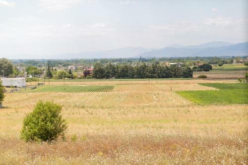 Casagreek Komotini