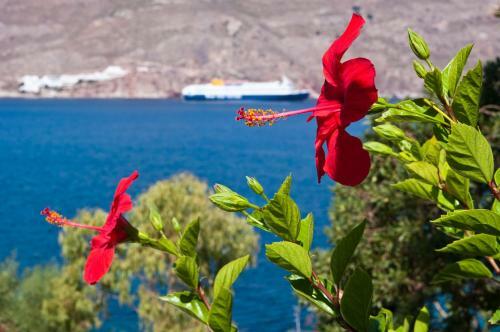 Hostal Antoniadi Marina Rooms