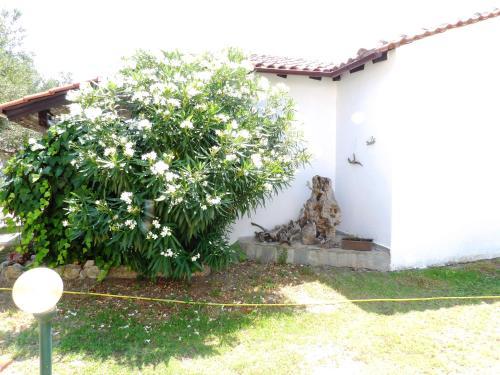 Apartments Peristeridis
