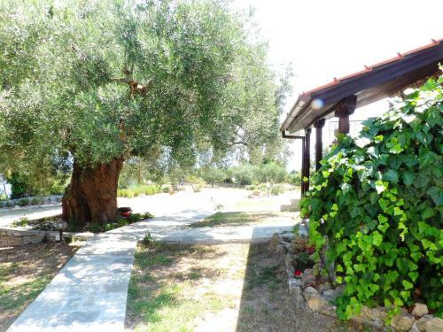 Apartments Peristeridis