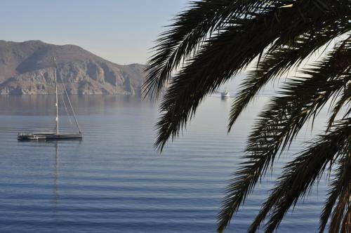 Apartamento Palm Tree Studio Symi