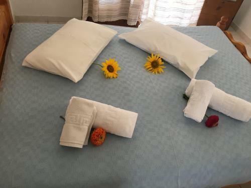 Hotel Joanna Rooms