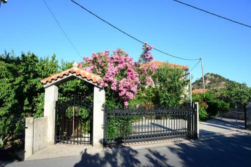 Hostal Marianna's Rooms