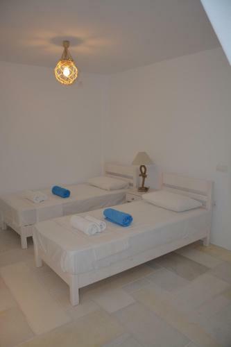 White Blue Houses & Apartments Paros
