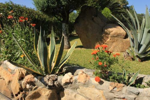 Apartamento Garden House
