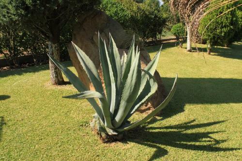 Apartamento Garden House