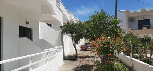 Hostal Chrisanthi Studios