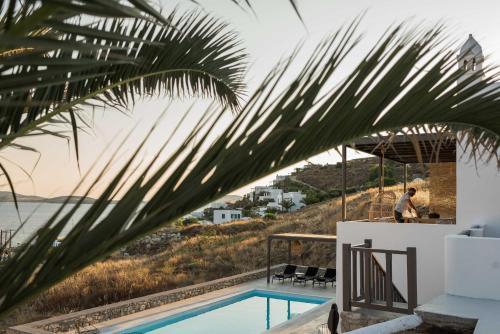 Apartamento Black Cactus