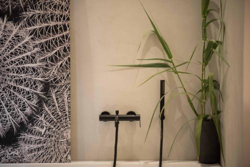 Apartamento Black Cactus