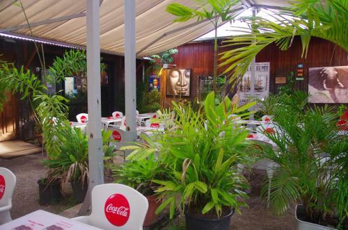 Hotel H�tel Des Palmistes