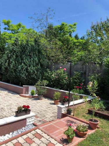 Major Csal�d Apartman