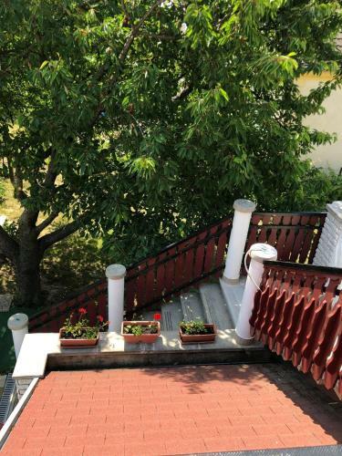 Major Csal�d Apartman