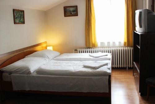 Hostal Erika Vend�gh�z