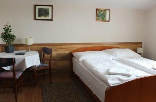 Hostal Erika Vend�gh�z