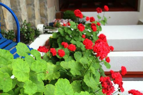 Apartamentos Villa Panor�ma