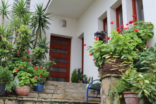 Apartamentos Villa Panor�ma