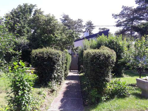 Hostal Avar Vend�gh�z