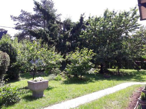 Hostal Avar Vend�gh�z