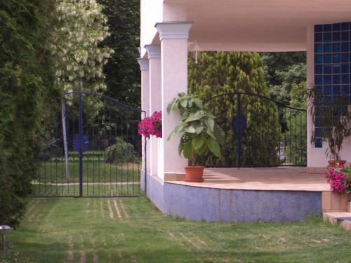 Hostal Csigah�z Panzi�